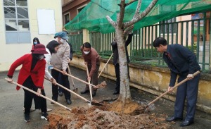 Tuần Châu công tác tết trồng cây