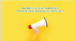 Phổ biến các Luật, Nghị quyết mới được Quốc hội khóa XV thông qua tại kỳ họp thứ 5