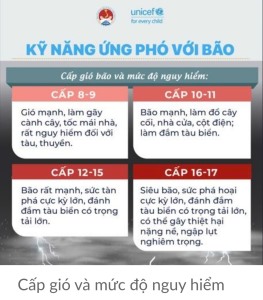 Kỹ năng ứng phó với bão