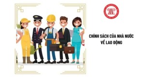  Chính sách của nhà nước về lao động được quy định như thế nào?